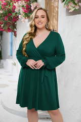 Elegant Ruffle Tie Waist Mini Dress Bianca Australia
