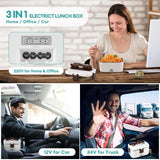 Lunch Box Warmer 220V car