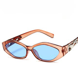 Retro Rectangle Sunglasses Workoutry